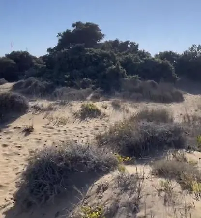 Mikri Santa Maria Beachvilla Pool Paros