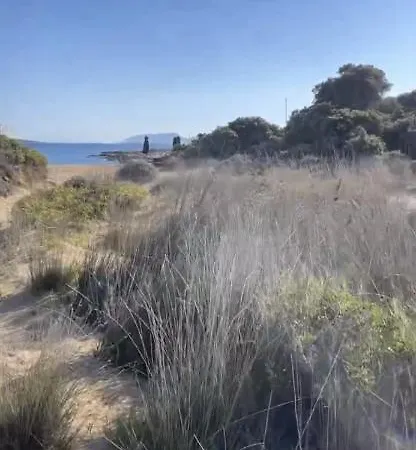 Mikri Santa Maria Beachvilla Pool Paros Σάντα Μαρία