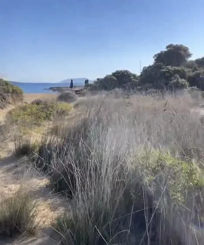 Mikri Santa Maria Beachvilla Pool Paros Σάντα Μαρία